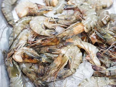 加強冷鏈食品追溯管理，艾盟科技在行動！